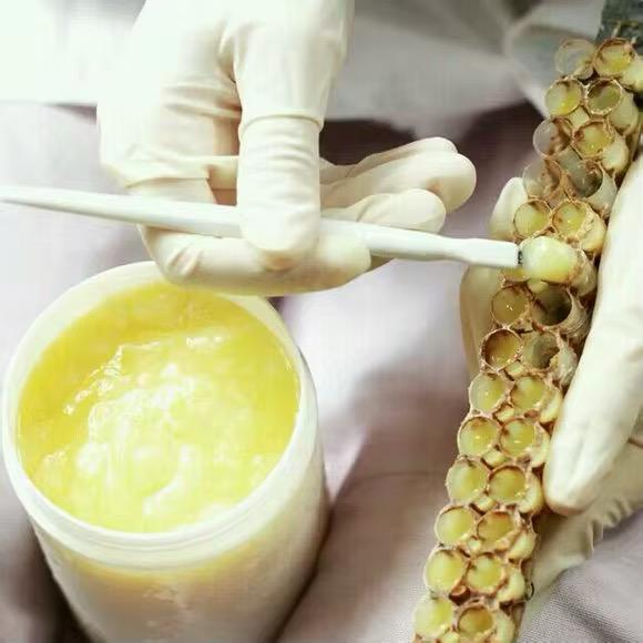 🌿 Royal Jelly (غذاء ملكات النحل)